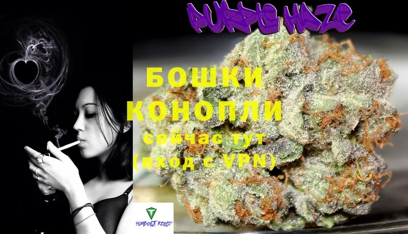 Бошки марихуана THC 21%  Байкальск 